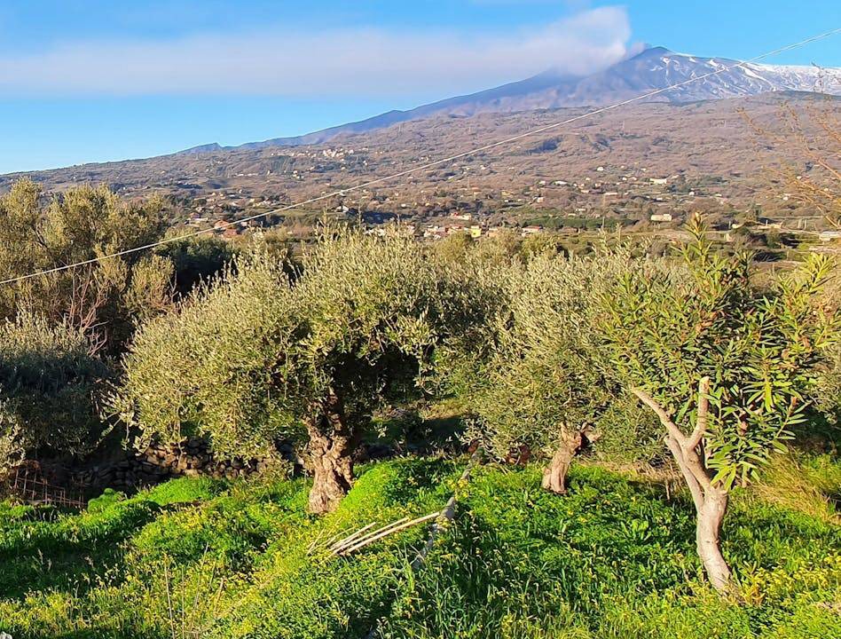 Piedimonte Etneo Resort | 100 m² Private room ∙ 1 bedroom ∙ 1 guest