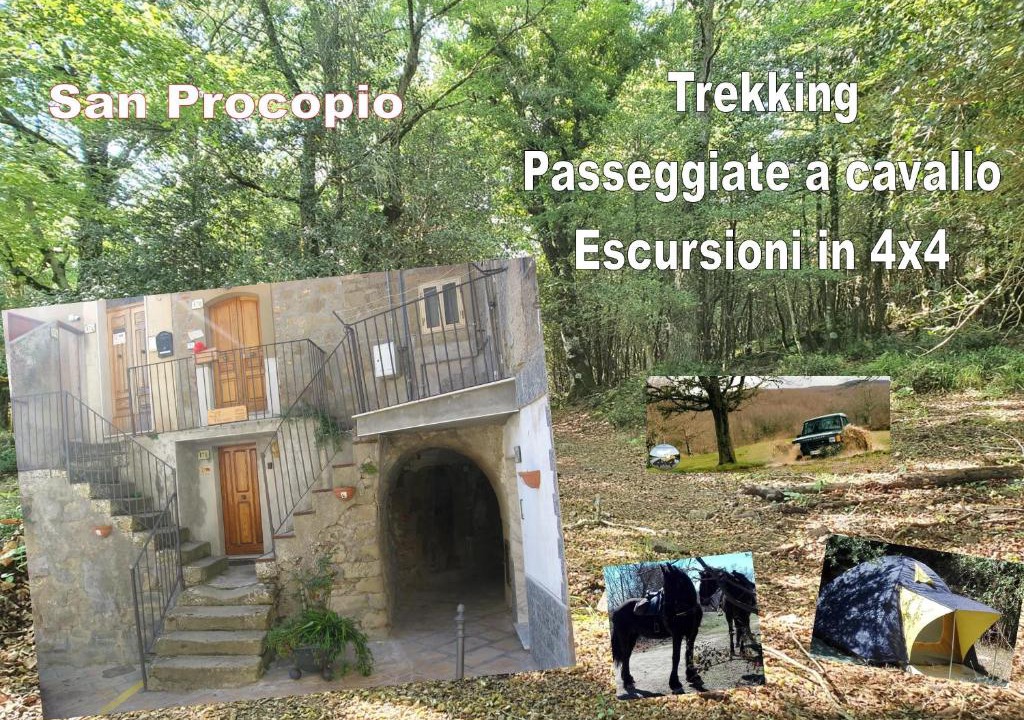 Troina House | affitta camere San Procopio
