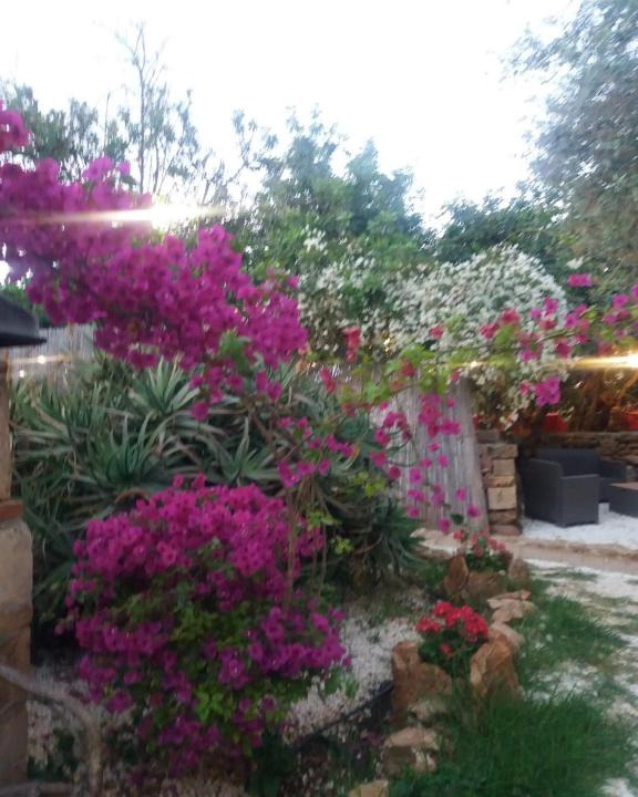 La Banca House | Affittacamere CALAMOSCHE