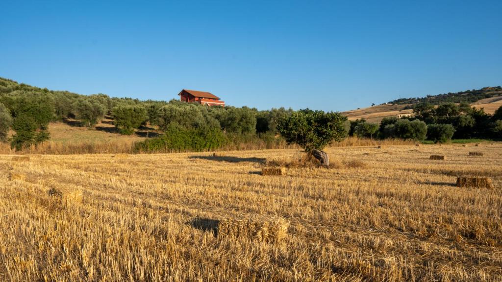 Tarsia House | Agriturismo Rende