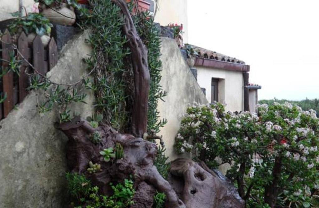Misterbianco House | Agriturismo Ruvitello