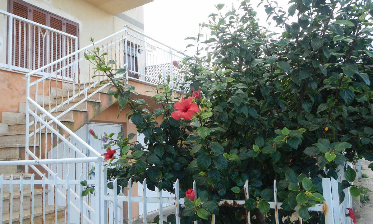 Alcamo Marina Apartment | Alcamo marina, resort on the Gulf of Castellammare, 6 km from Alcamo, city
