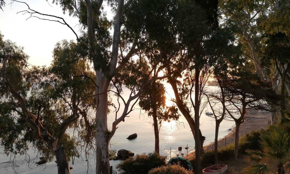 Trabia Apartment | Apartment in villa a few steps from the sea