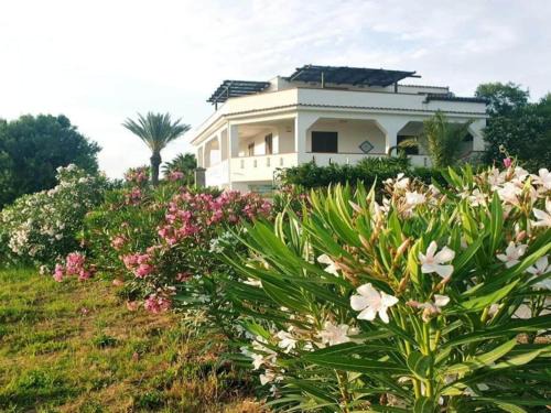 Marinella di Selinunte Apartment | Apartment in Marinella di Selinunte Castelvetrano 150 m from the sea