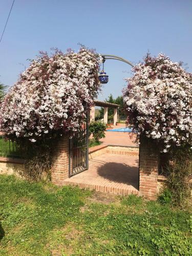 Grammichele Apartment | Apartments in Italy