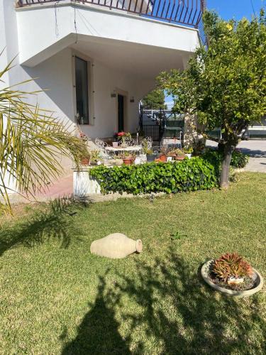 Sommatino Bed & Breakfast | B&B Delle Zolfare