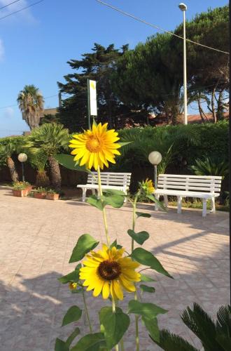 Caucana-finaiti-casuzze-finaiti Nord Bed & Breakfast | B&B Fiori Gialli Caucana
