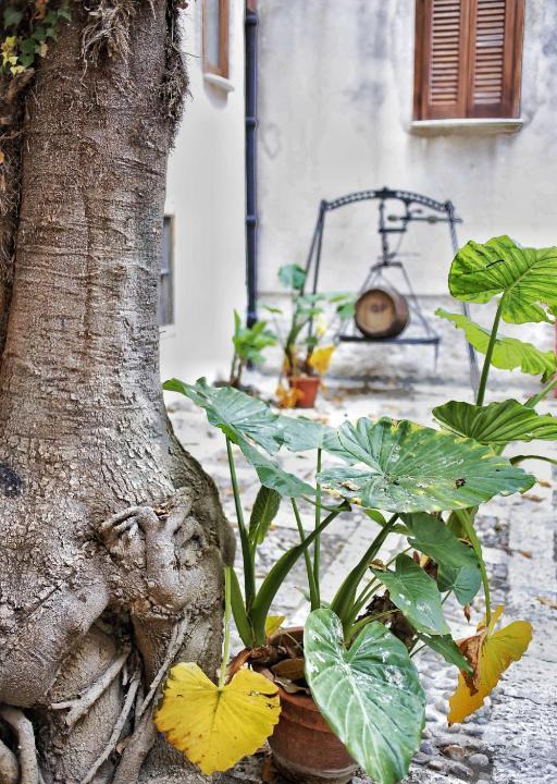 Alcamo Historic Center Bed & Breakfast | B&B Garibaldi