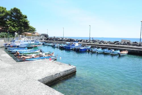 B | Picanello-Ognina-Barriera-Canalicchio