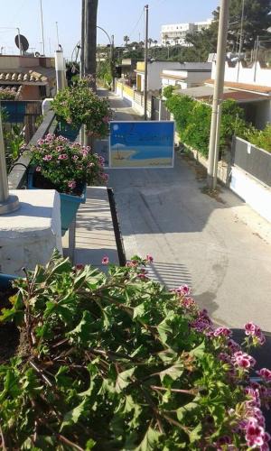 Noto Marina Bed & Breakfast | B&B Solarium