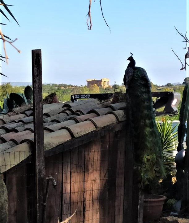 Agrigento House | B&B Villa San Marco