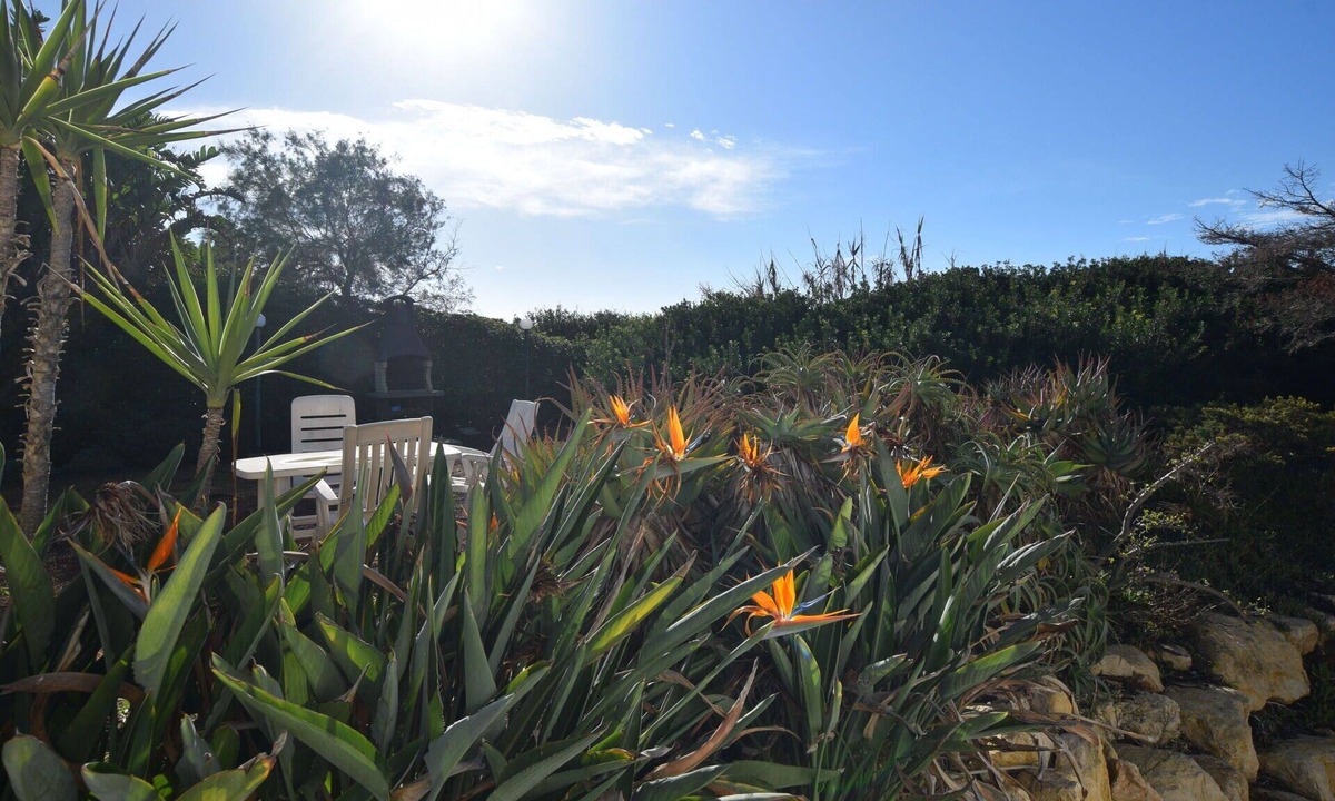 Punta Braccetto Villa | Beautiful villa for 7 people with WIFI, A/C, TV, patio, pets allowed and panoramic view