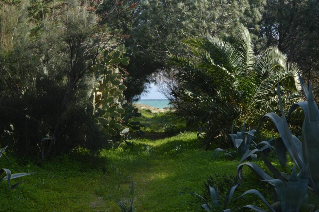 Villaggio San Leonardo House | Bedda Casa Al Mare