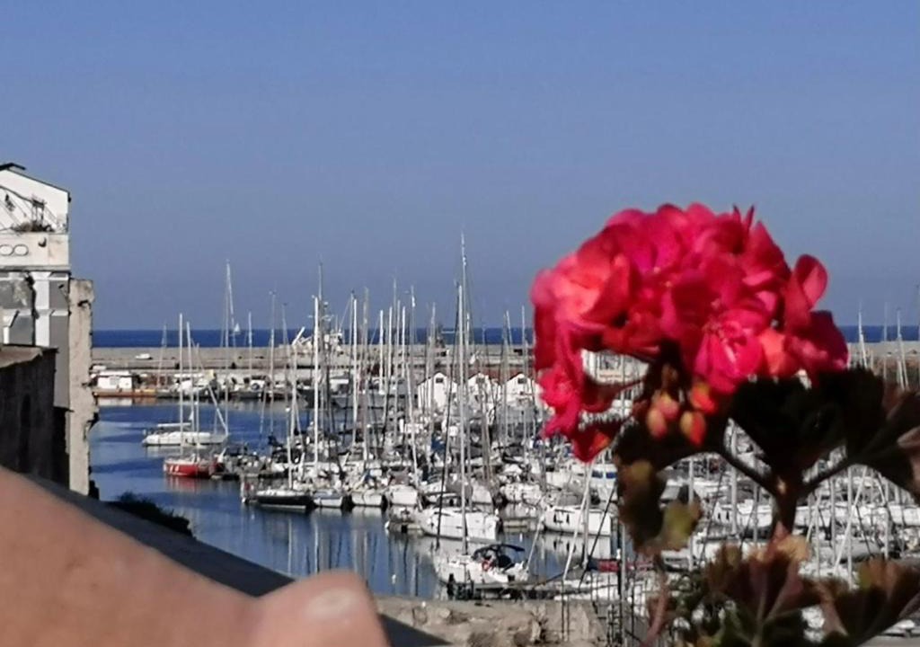 Castellammare Vucciria House | Cala Terrace