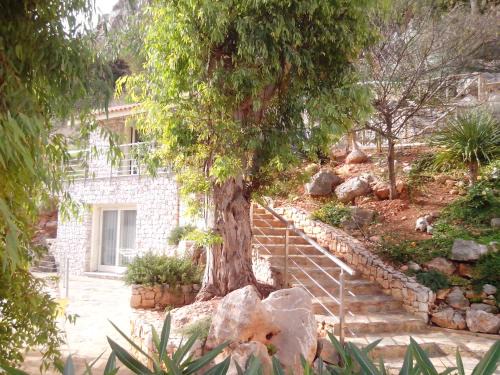 San Vito Lo Capo Apartment | Calamancina