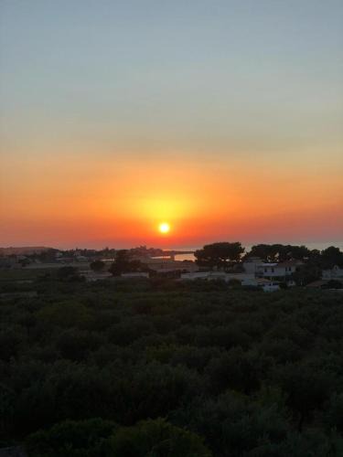 Sant'Andrea Bonagia House | Casa del Nespolo