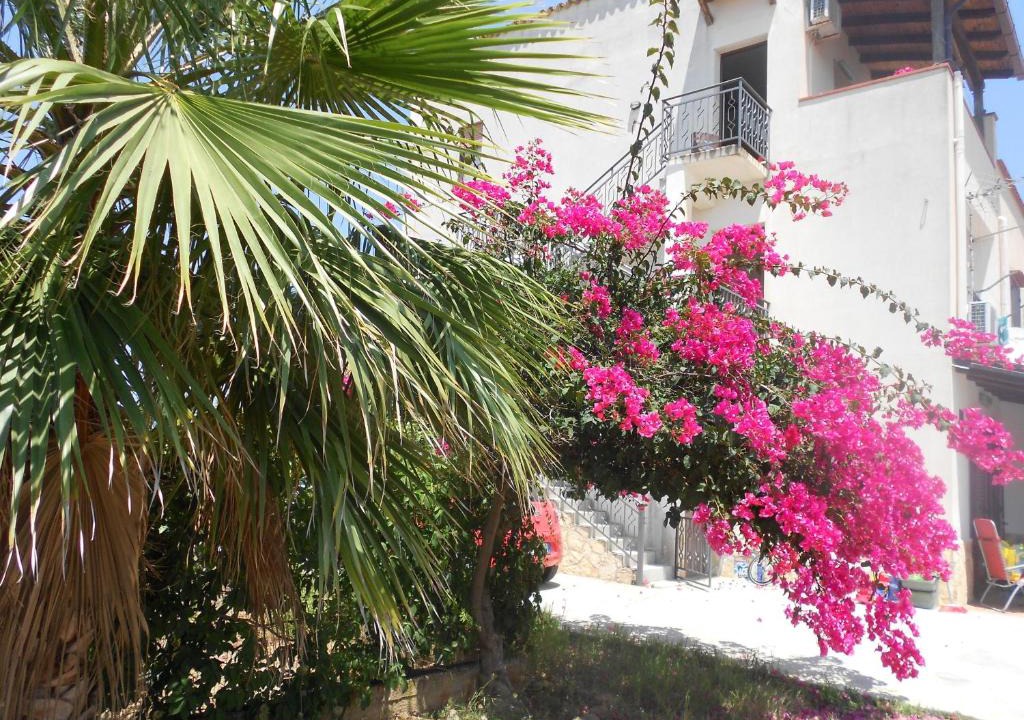 Alcamo House | Casa Il Gelsomino