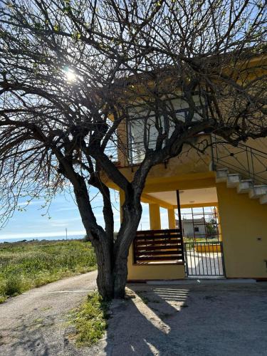 Porto Palo House | Casa Mangiaracina