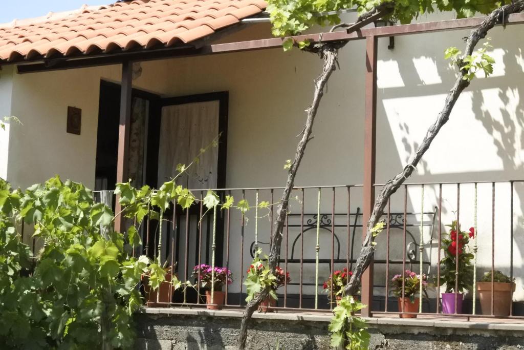 Piedimonte Etneo House | Casa vacanza Etna Evergreen