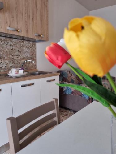 Coste Apartment | Casa vacanze giulia