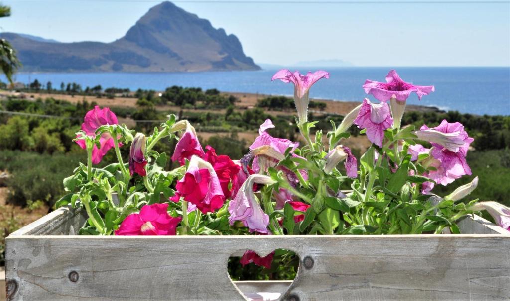 Macari Apartment | Casa Vacanze Monte Cofano