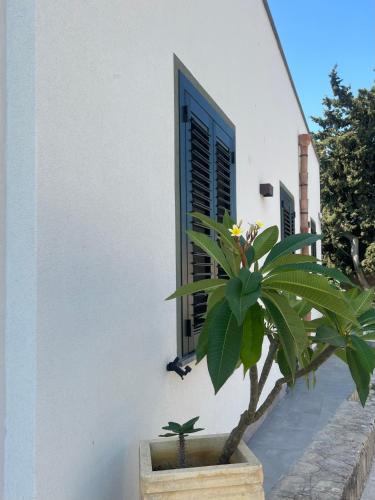 Custonaci House | Casa Vacanze Sidda