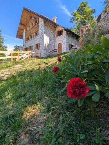 Folgaria Apartment | Chalet Peter