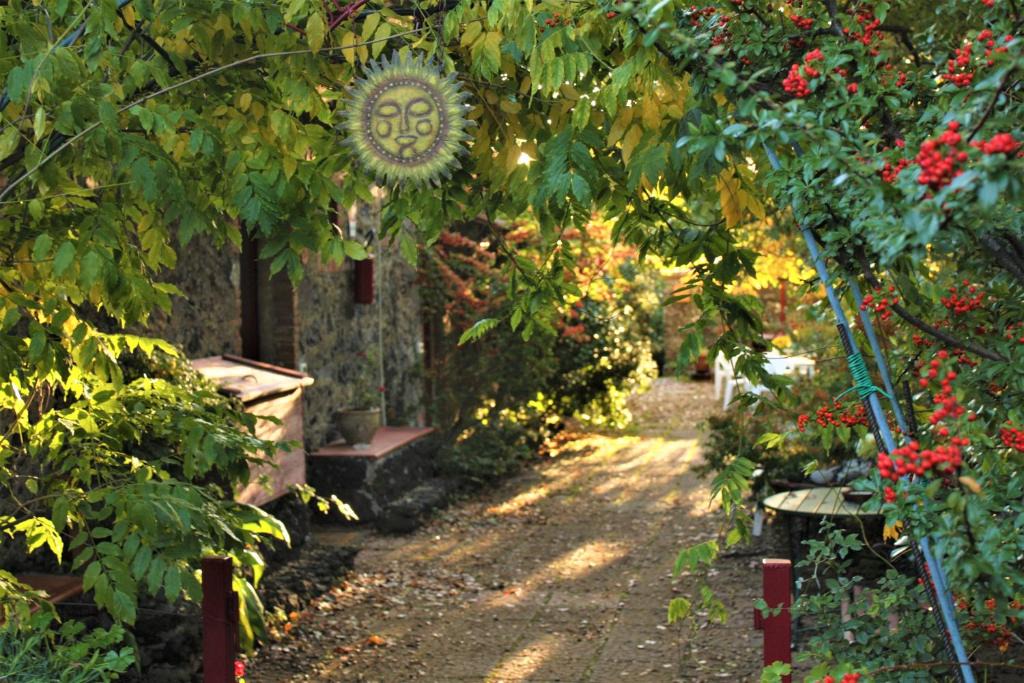 Sant'Alfio House | Cirasellaetna