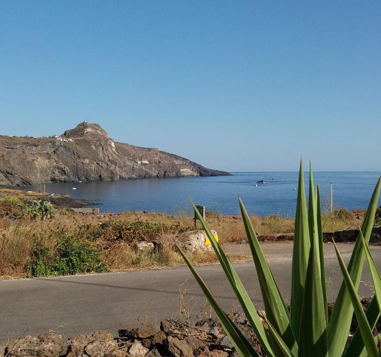 Pantelleria Apartment | Dammuso Surya Il cappero monolocale