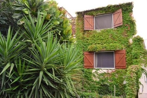 Eurialo Green | Belvedere