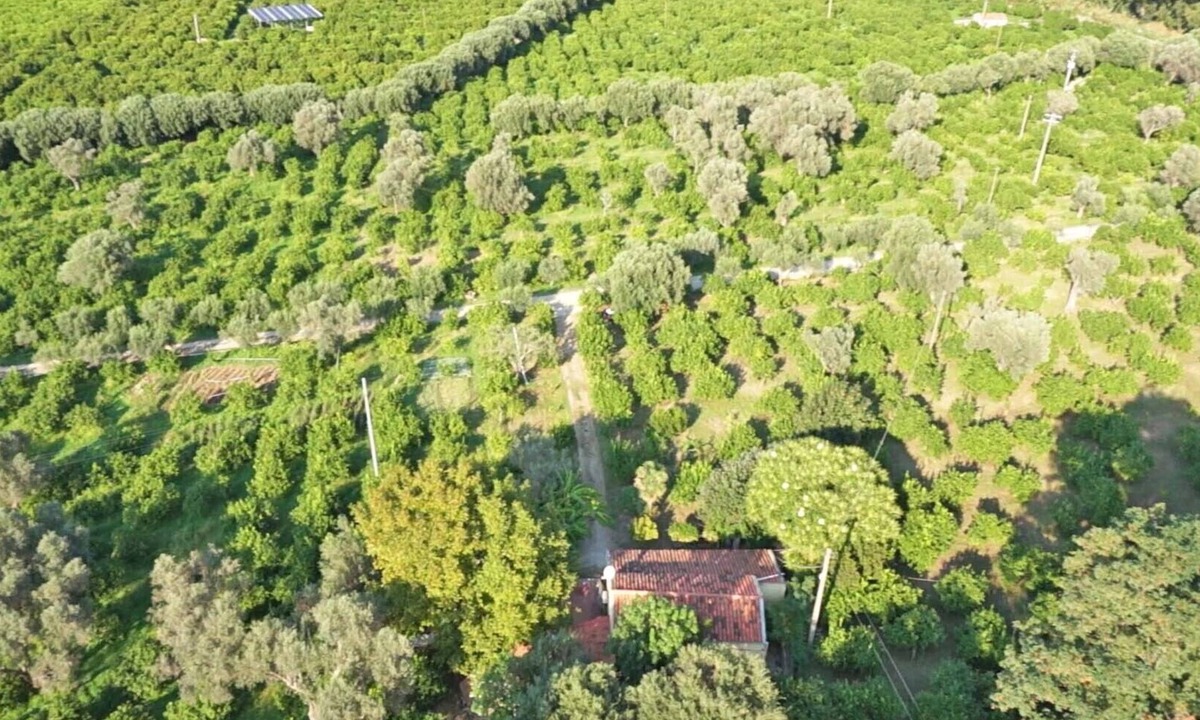 Mirto Other | Farm holidays with pool in Sicily, among the Nebrodi's park and close to the sea