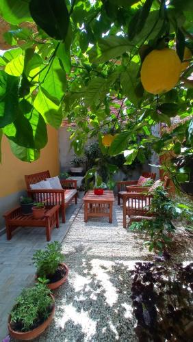 Avola House | Green House