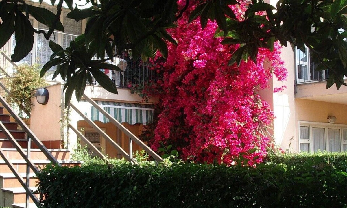 Fiumefreddo di Sicilia Apartment | GREEN OASIS, IN A PRIVATE RESIDENCE, JAST 150 m. FROM THE BEACH