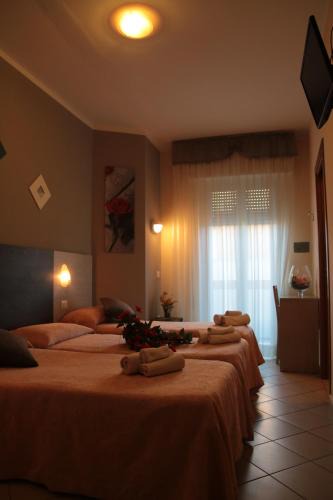 Rivazzurra Hotel | Hotel Senyor