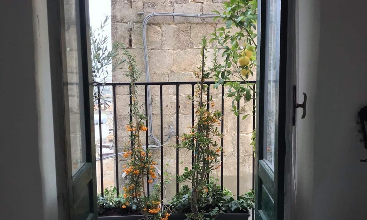 Mussomeli House | House of Solorzano