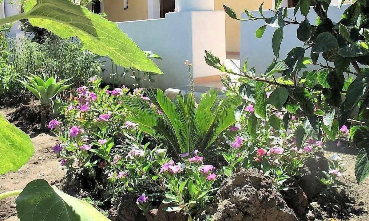 Malfa House | House The Sunflower, in the center of Malfa