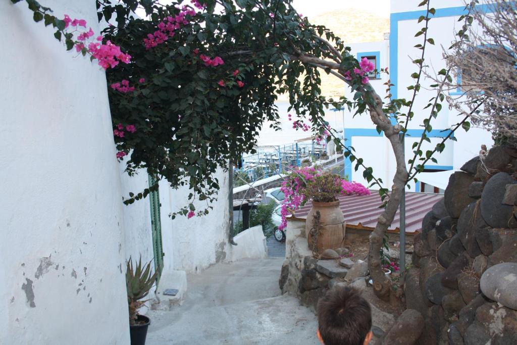 Stimpagnato House | I 5 PASSI