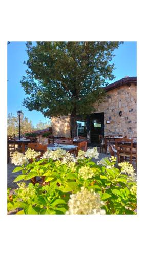Camerota Bed & Breakfast | Il Sogno di Teresa