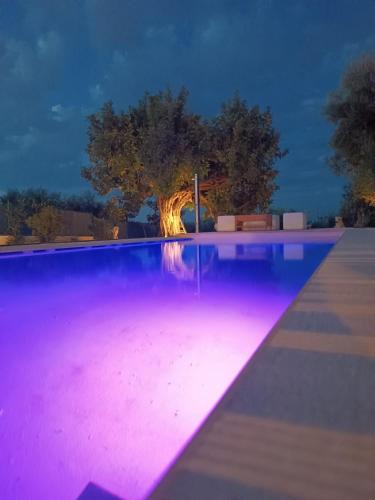 Impalata Villa | Il Vecchio Carrubo - Villa con piscina a sfioro