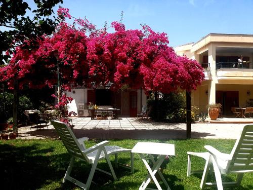 Mondello House | La depandance di Villa Rosa locazioni brevi