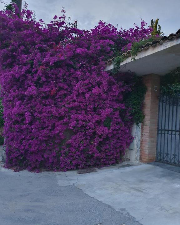 Acradina House | La Latomia Villa nei pressi del Teatro Greco