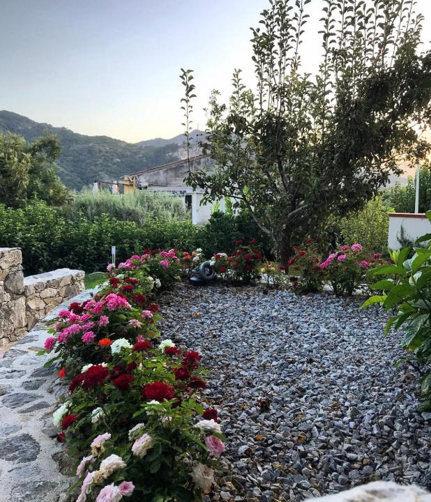 Soccorso Bed & Breakfast | LA PERGOLA - Affitta Camere