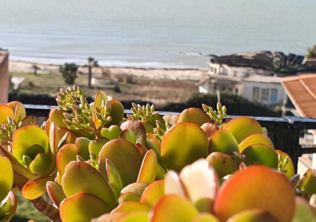Gela Bed & Breakfast | Lindos