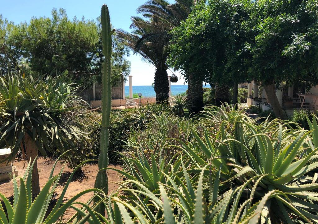 Caucana-finaiti-casuzze-finaiti Nord House | Maredinotte