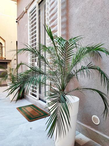 Picanello-Ognina-Barriera-Canalicchio Apartment | Morgana Luxury Apartment