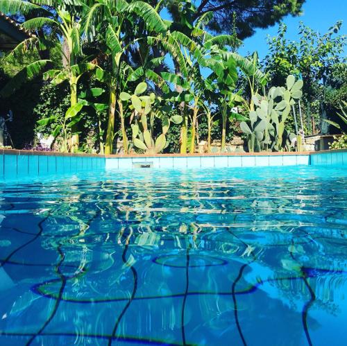 Carrozziere Bed & Breakfast | Oasi Del Gabbiano