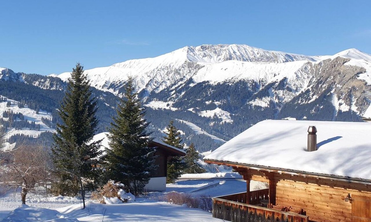 Lenk Ski Chalet | Panoramic apartment with studio and fireplace