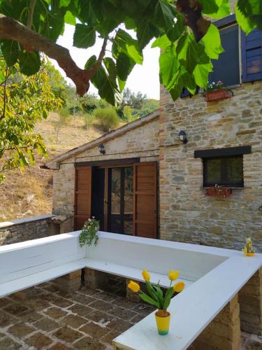 Moscosi Bed & Breakfast | Podere le Serre