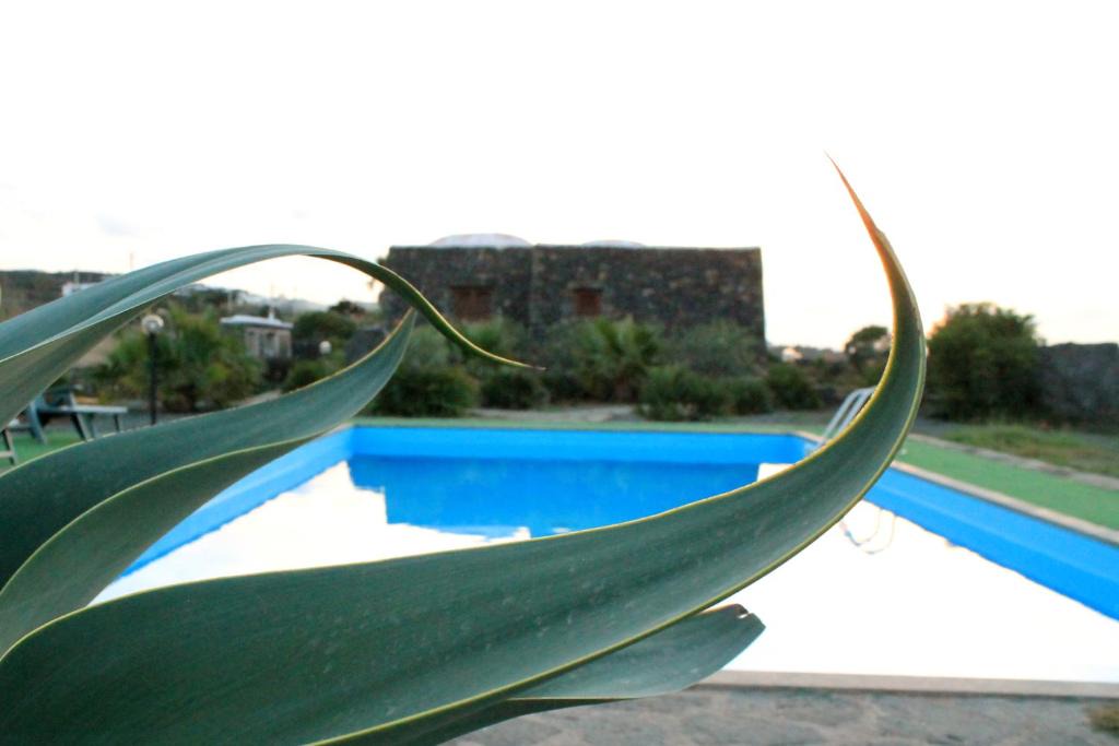 Pantelleria Apartment | Residence Cuore Mediterraneo