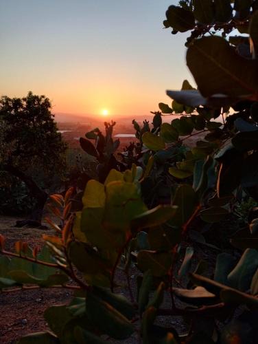 Chiaramonte Gulfi Bed & Breakfast | Ronnavona Casa Vacanze B&B